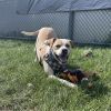 Max photo 6