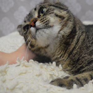 Fiona