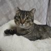 Fiona photo 5