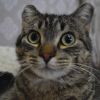 Fiona photo 6