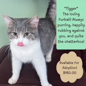 Tigger