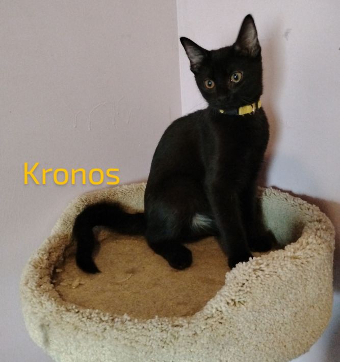 Kronos