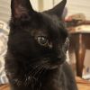Tilly photo 3
