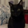 Tilly photo 5
