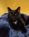 Stanley photo 1