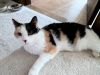 Molly photo 1