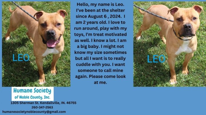 Leo 1