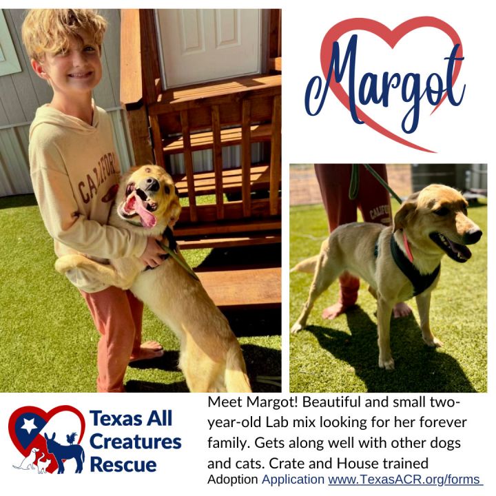 Margot 1