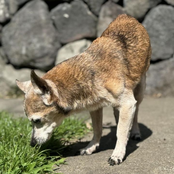 Aku (in Hospice Foster) 3