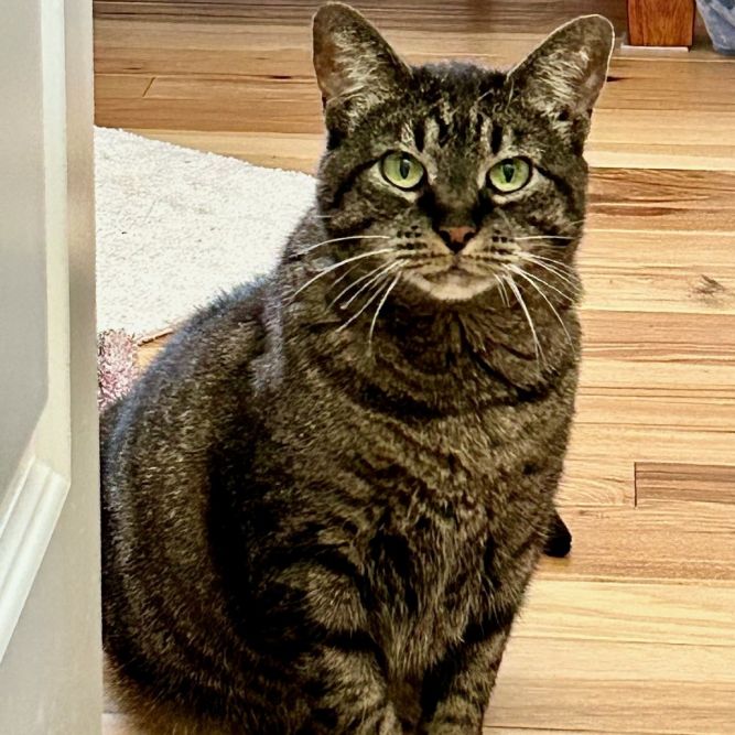 Sabrina
