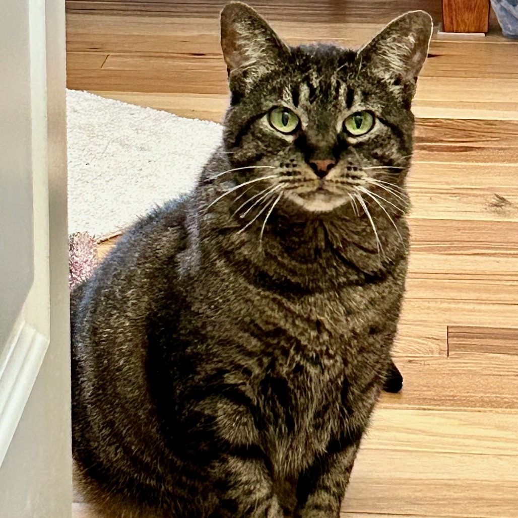 Sabrina