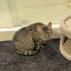 Sabrina photo 5