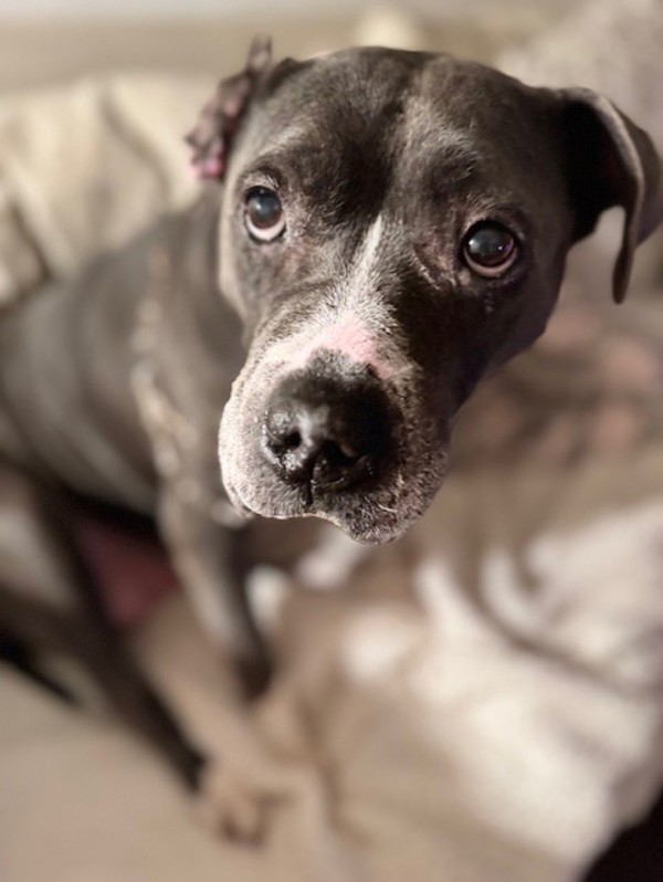 Lola