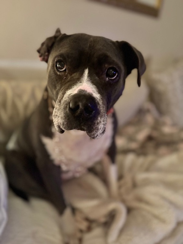 Lola