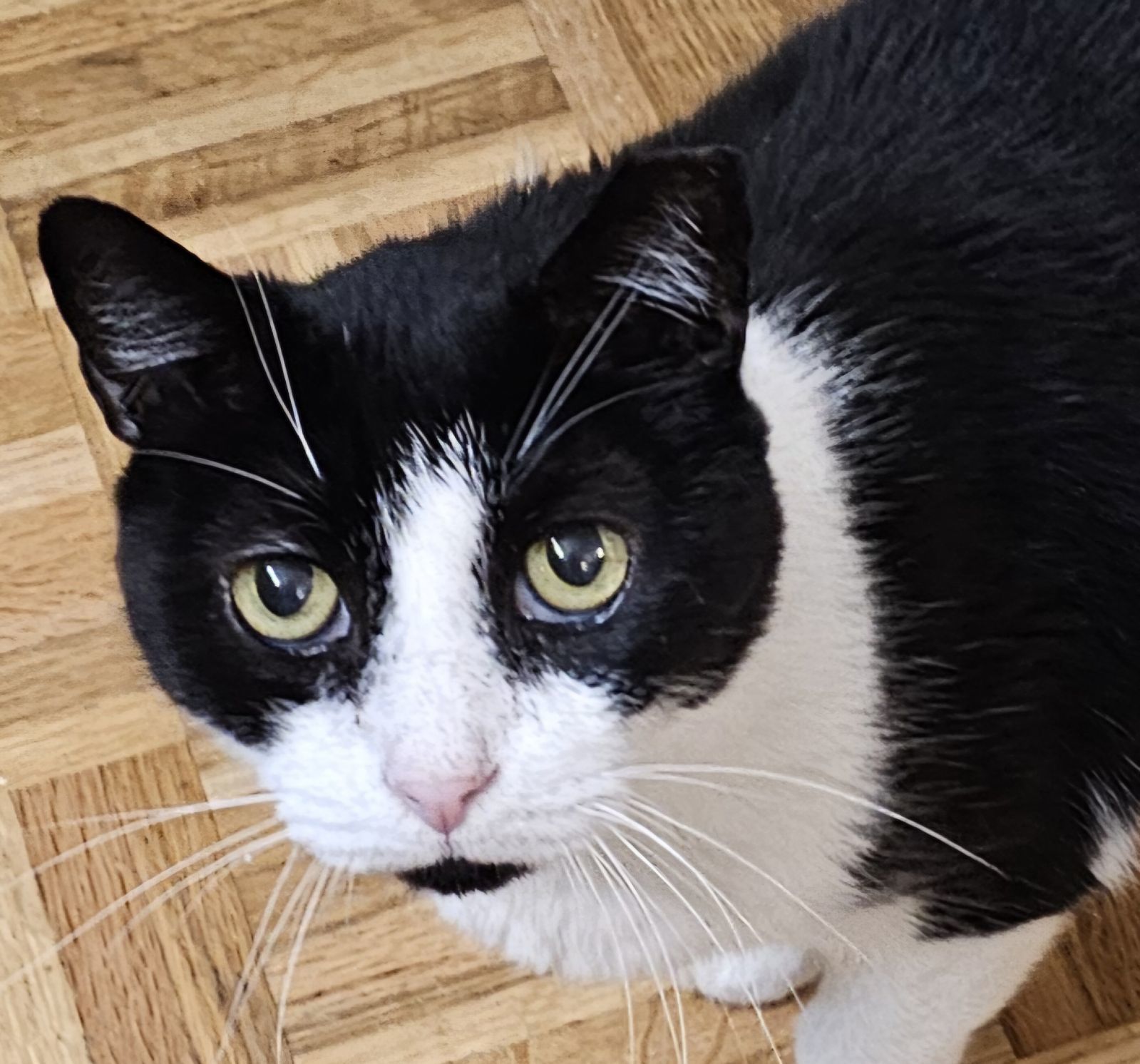 Max