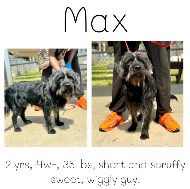 Max