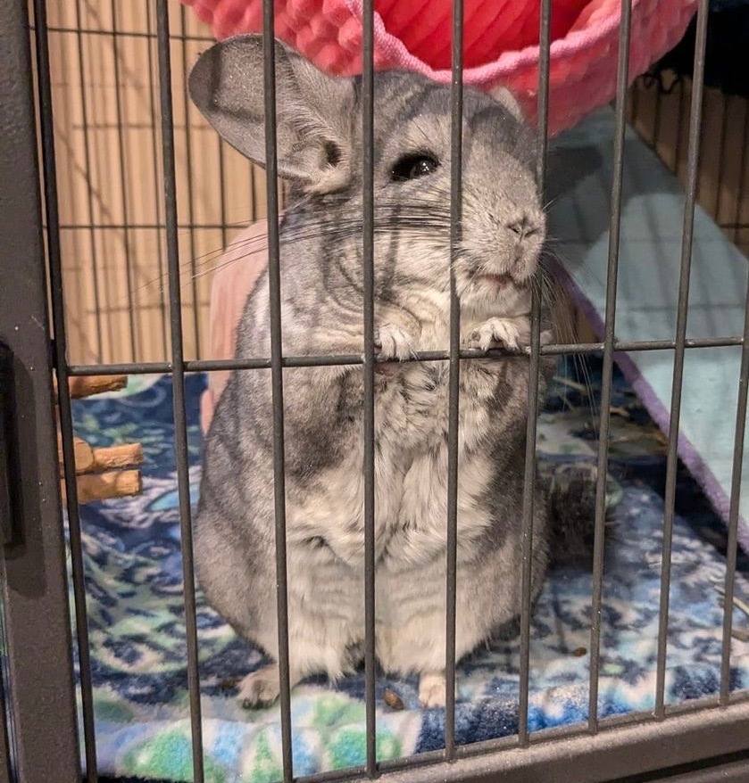 Stormie