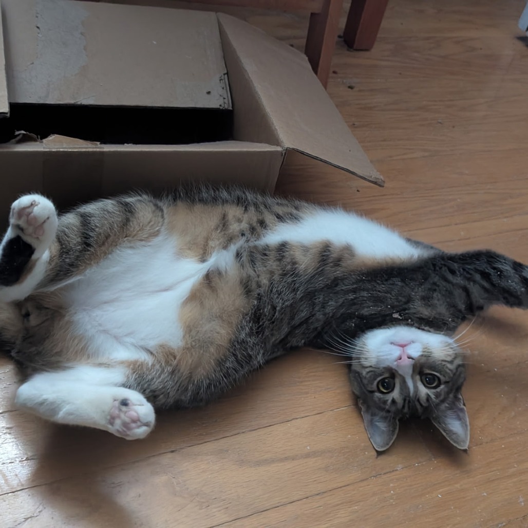 Henry