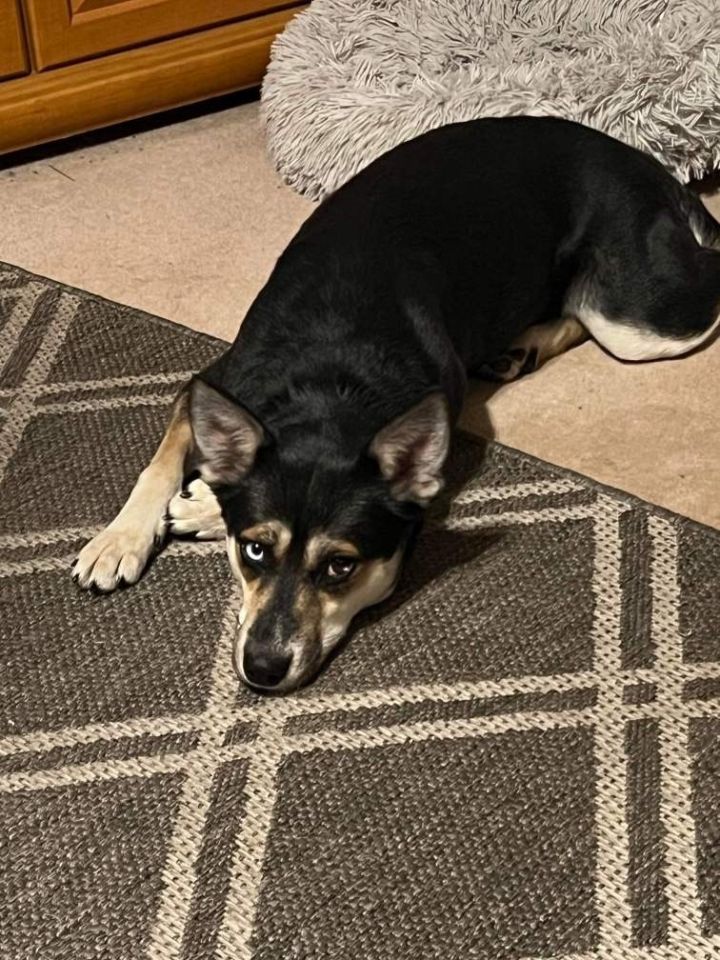 Maggie 1