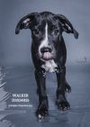 Walker photo 5