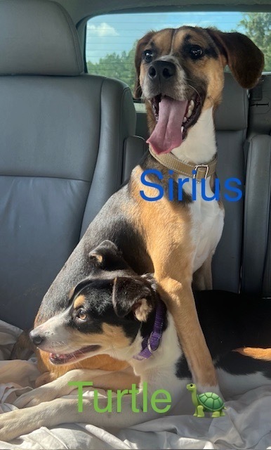 Sirius