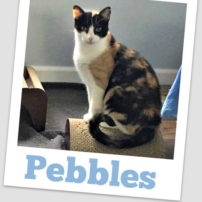 Pebbles