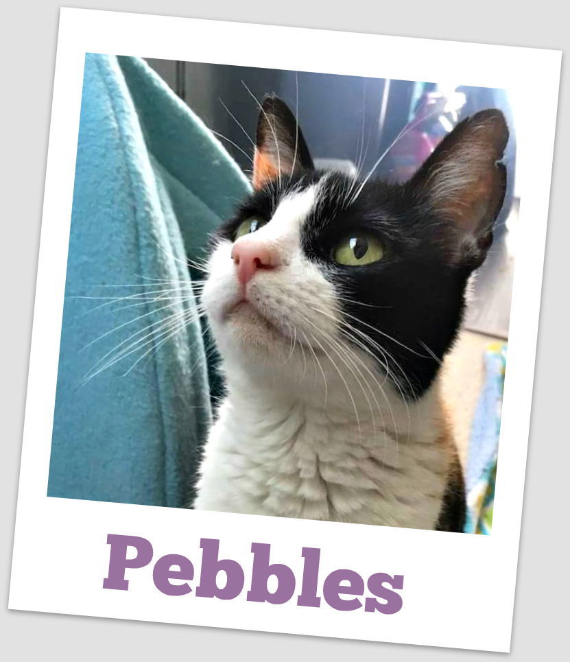 Pebbles