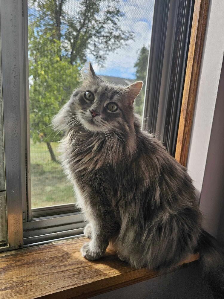 Juno