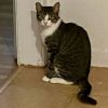 Annie photo 2