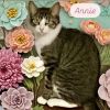 Annie photo 3