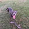 Rocko photo 1