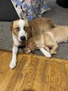 Gunther photo 4