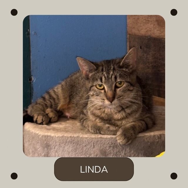 Linda