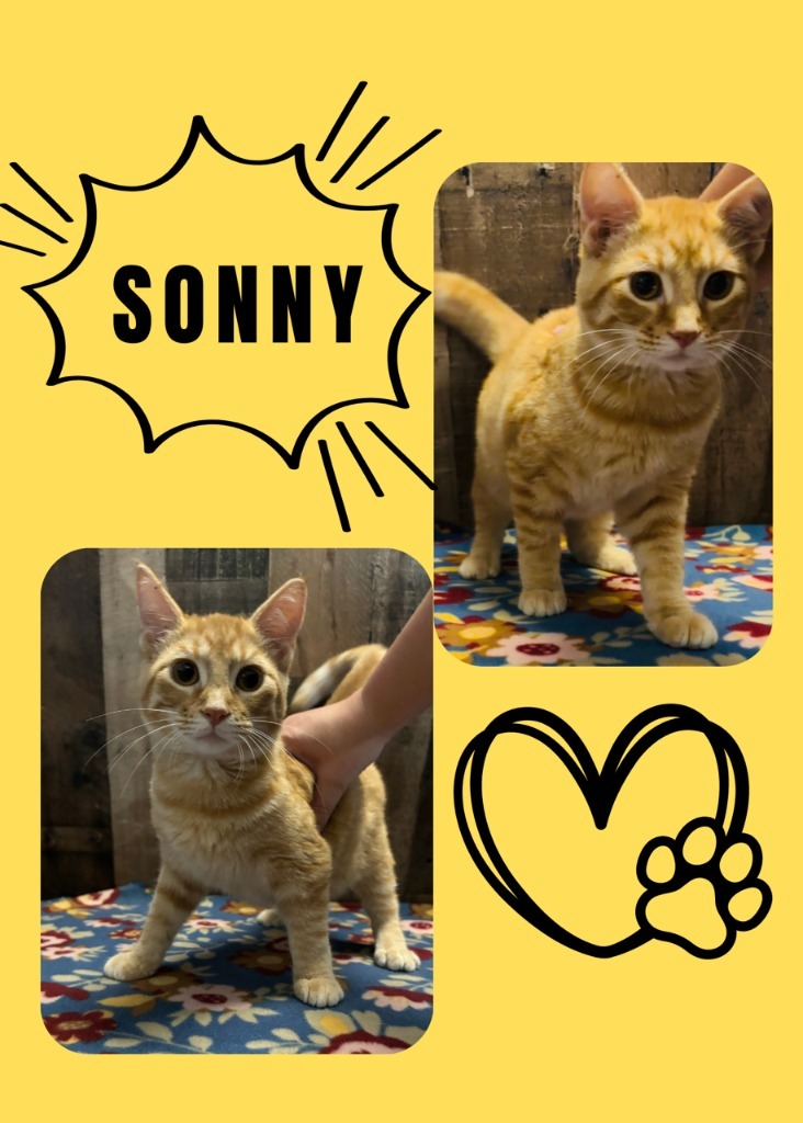 Sonny