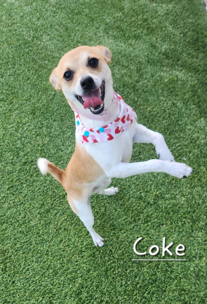 Coke