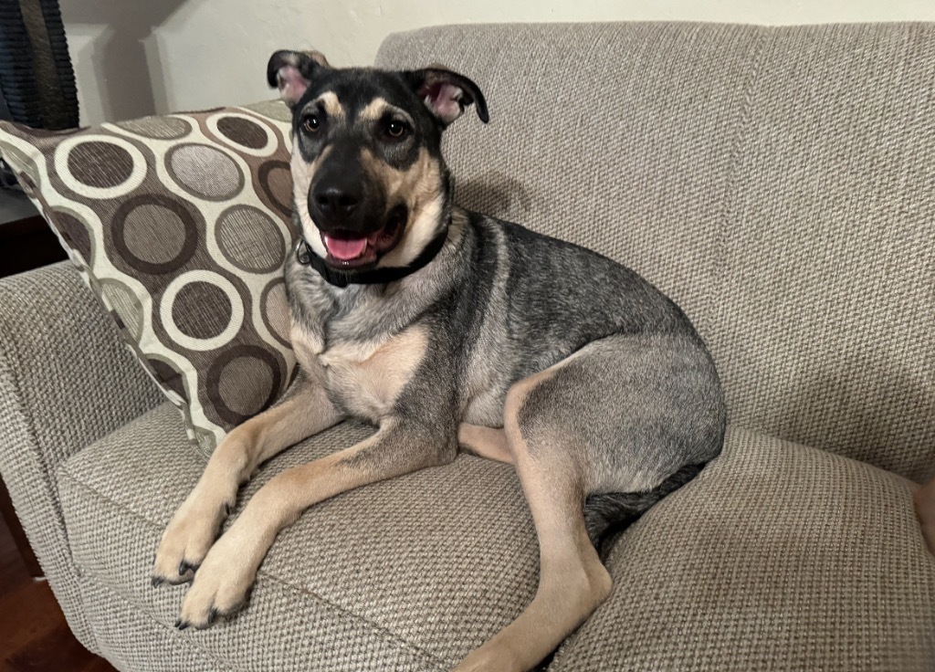 Lulu