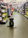 Reggie photo 6