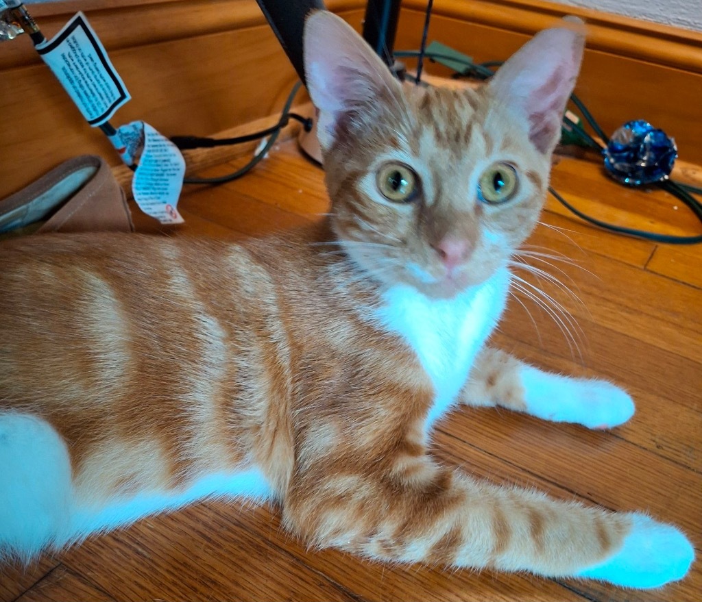 Marbles