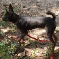 Roxie (180 days+)