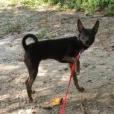 Roxie (180 days+)