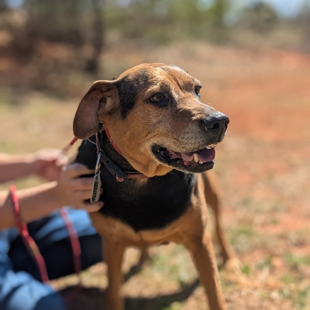 Gunny (180 days+)