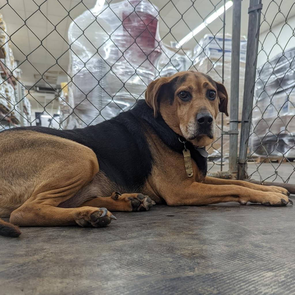Gunny (180 days+)