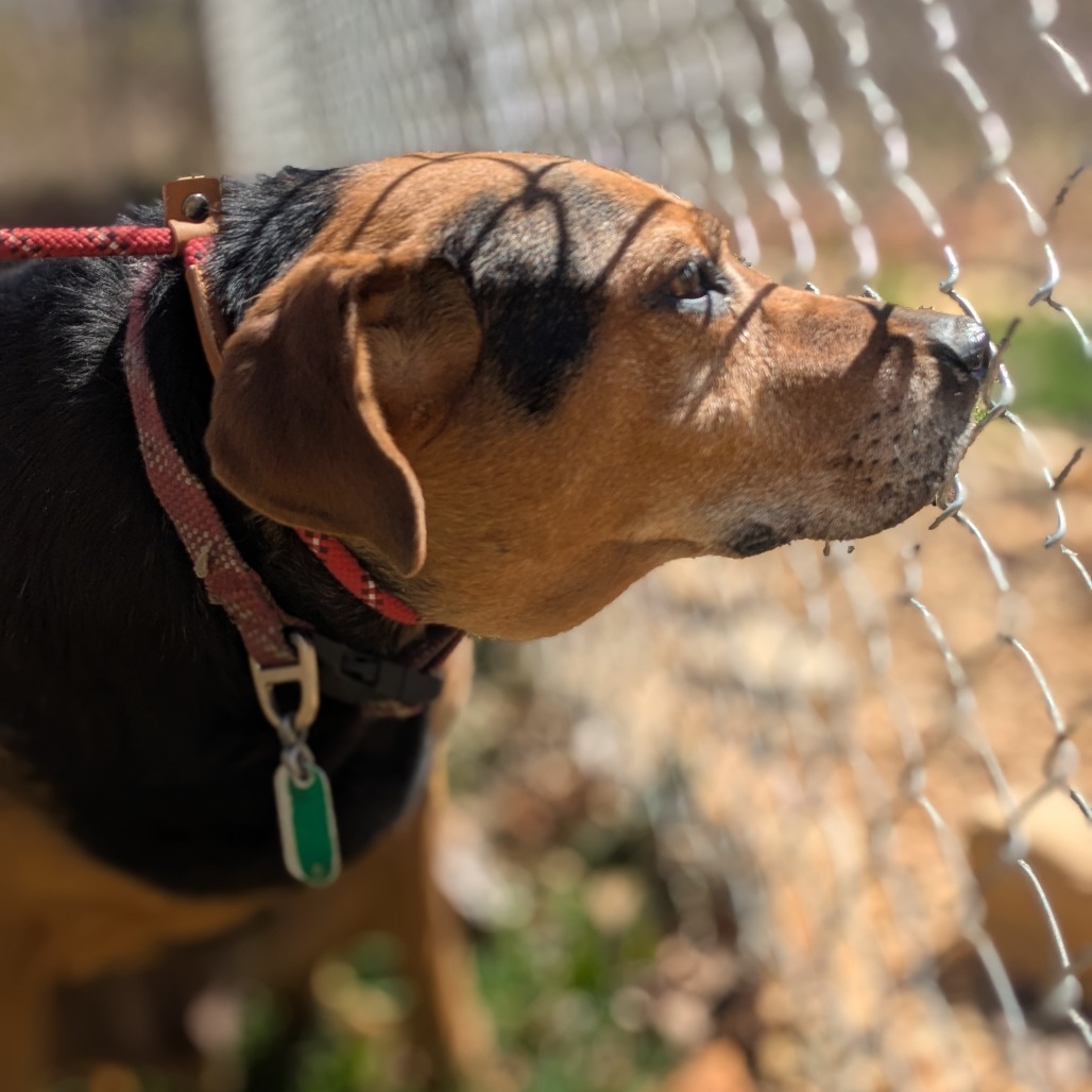 Gunny (180 days+)