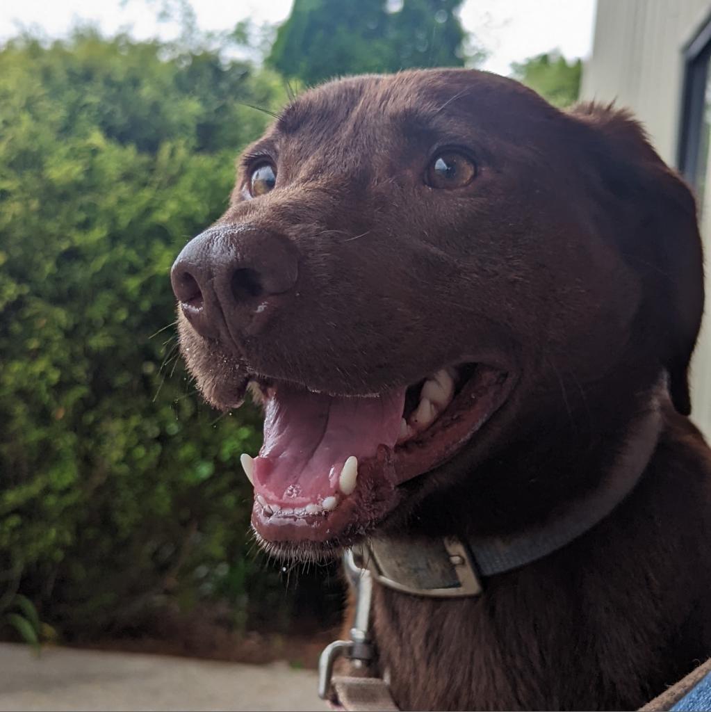 Nerina (180 days+)
