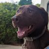 Nerina (180 days+) photo 1