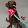 Nerina (180 days+) photo 4