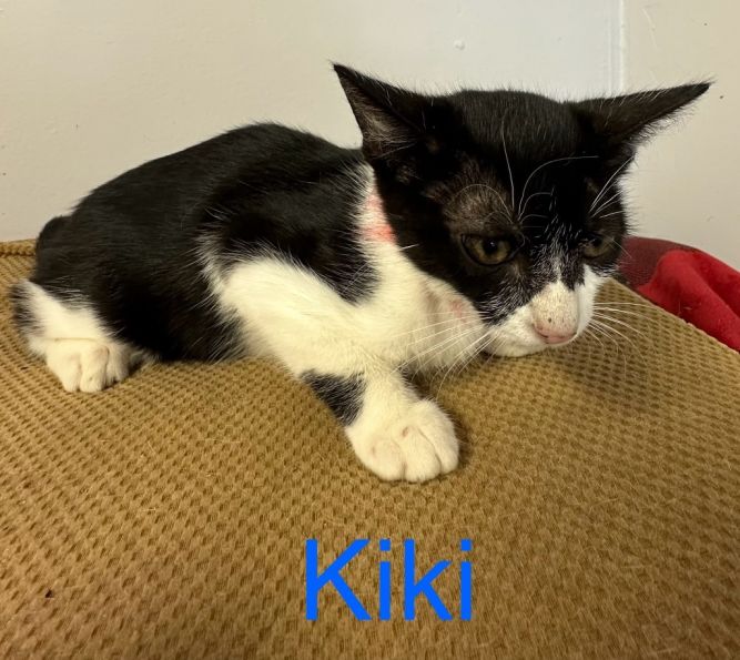 Kiki