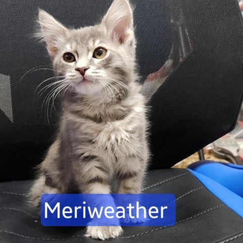 Meriweather