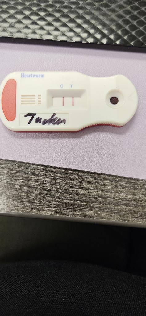 Tucker