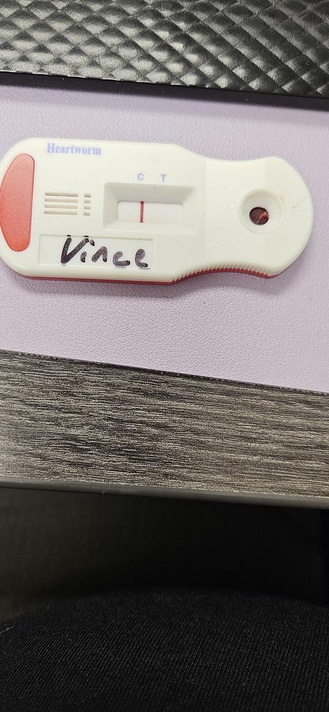 Vince